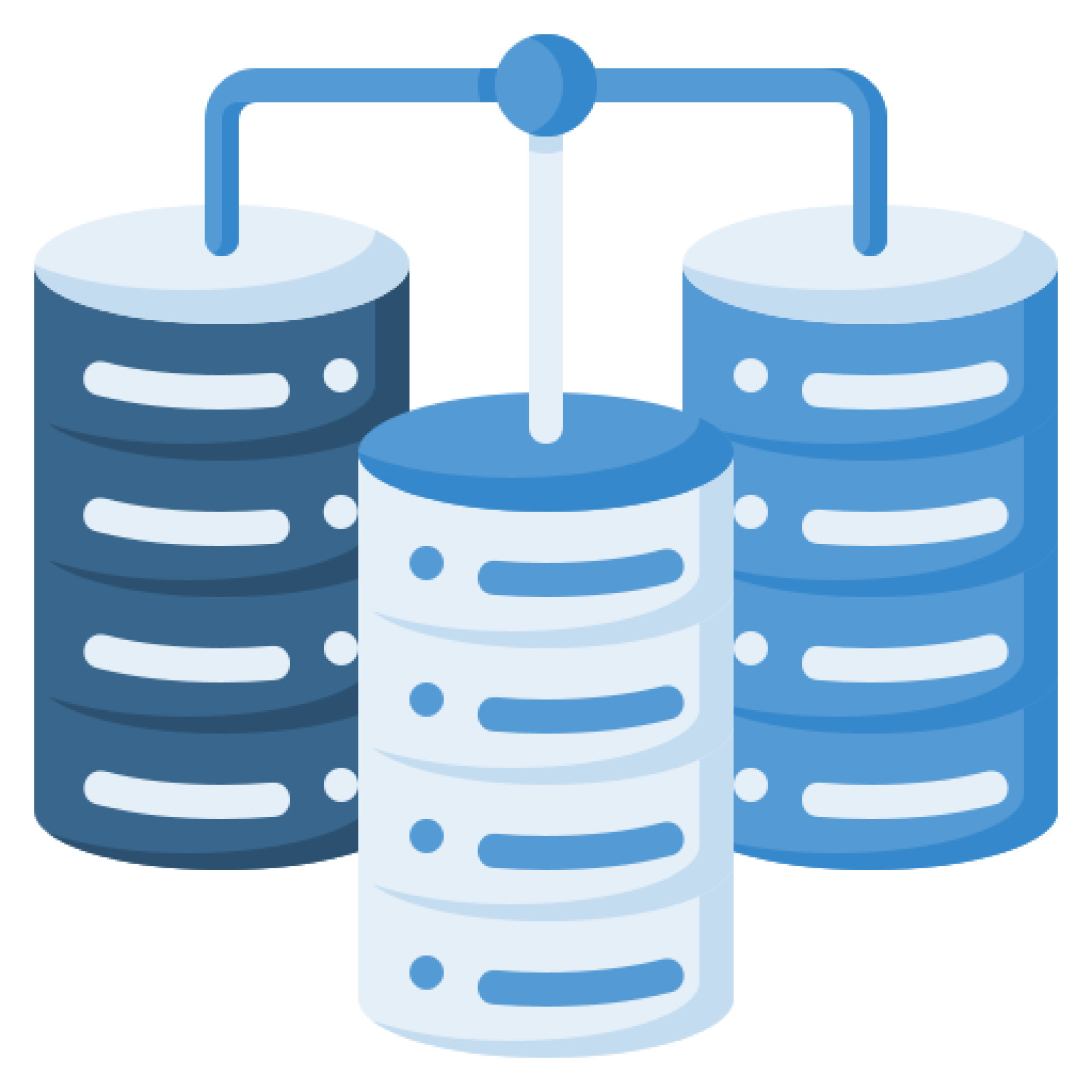 Servers representing robust data management and storage